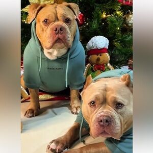 Spark paws vintage Green Dog Hoodie